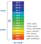 pH Skalası - Ölçeği