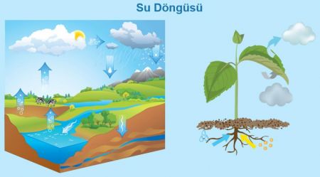 Madde Döngüleri - Su Döngüsü