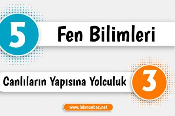 5.Sınıf - 3.Ünite: Canlıların Yapısına Yolculuk 5.Sınıf - 3.Ünite: Canlıların Yapısına Yolculuk