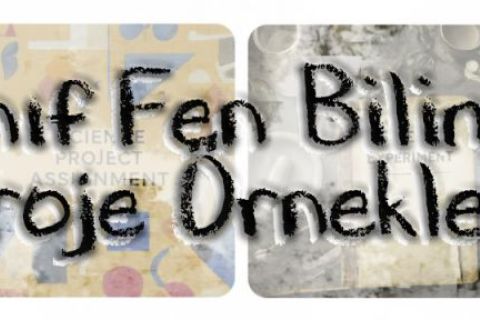 8. Sınıf Fen Bilimleri Proje Örnekleri