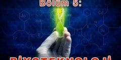 Biyoteknoloji
