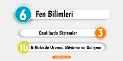 2. Bitkilerde Üreme, Büyüme ve Gelişme PDF Ders Notu - Konu Özeti İndir
