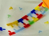DNA Kendini Nasıl Eşler?