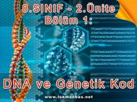 DNA ve Genetik Kod