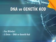 Bölüm 1: DNA ve Genetik Kod Ders Notu - Konu Özeti 2