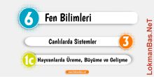 3. Hayvanlarda Üreme, Büyüme ve Gelişme PDF Ders Notu - Konu Özeti İndir
