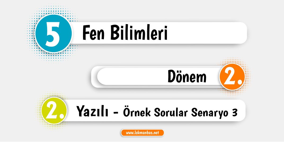 2025-2026 5.Sınıf Fen Bilimleri 2.Dönem 2.Yazılı Örnek Soruları - 3.Senaryo (Cevaplı)