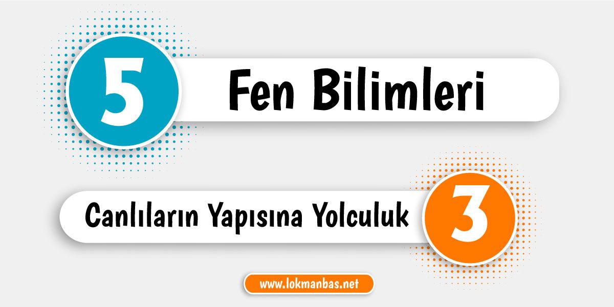 5.Sınıf - 3.Ünite: Canlıların Yapısına Yolculuk Ünitesi Öğrenme Çıktıları ve Süreç Bileşenleri