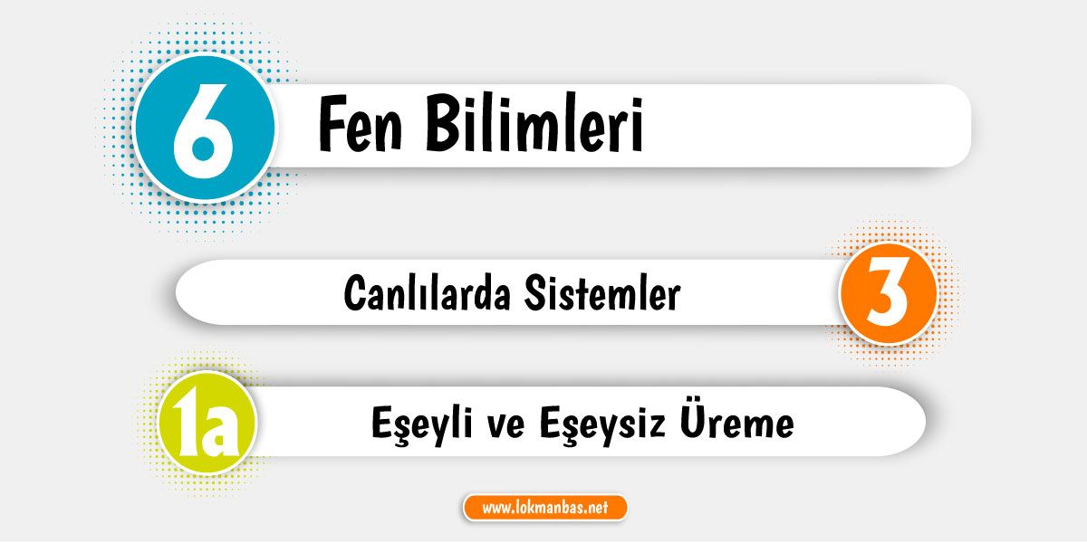 1. Eşeyli ve Eşeysiz Üreme PDF Ders Notu - Konu Özeti İndir