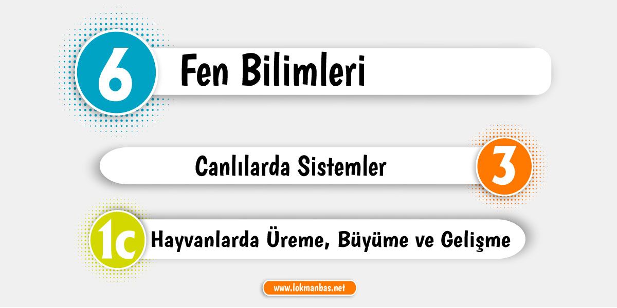 3. Hayvanlarda Üreme, Büyüme ve Gelişme PDF Ders Notu - Konu Özeti İndir 3. Hayvanlarda Üreme, Büyüme ve Gelişme PDF Ders Notu - Konu Özeti İndir
