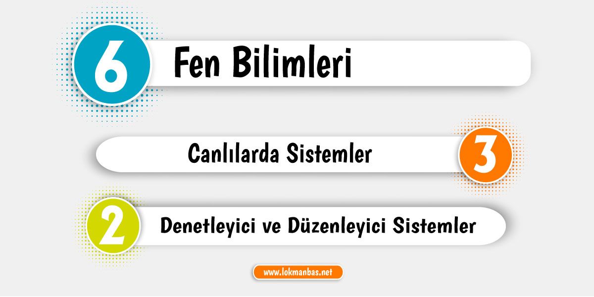 2. Bölüm: Denetleyici ve Düzenleyici Sistemler 2. Bölüm: Denetleyici ve Düzenleyici Sistemler