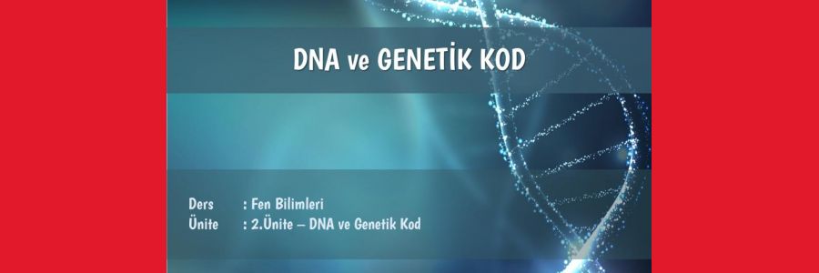 Bölüm 1: DNA ve Genetik Kod Ders Notu - Konu Özeti 2